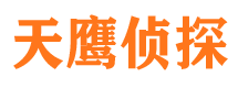 上海市私家侦探公司